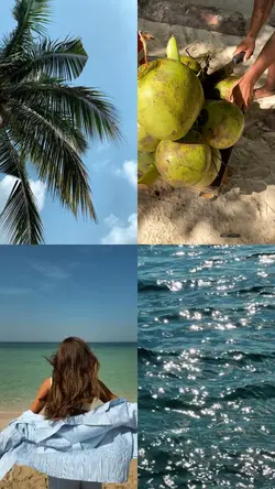 Layout Aesthetic