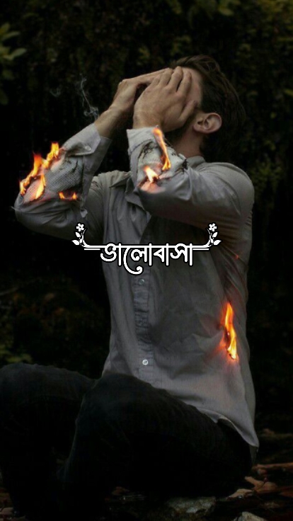 ভালোবাসা নয় কোনো 