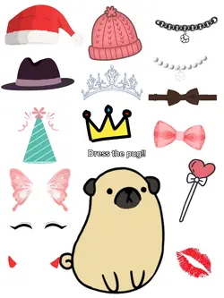 Dress the pug! ☺️😁