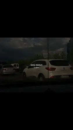 Sevdi gönül