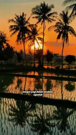 mereka tidak tahu