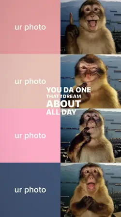monkey pose trend