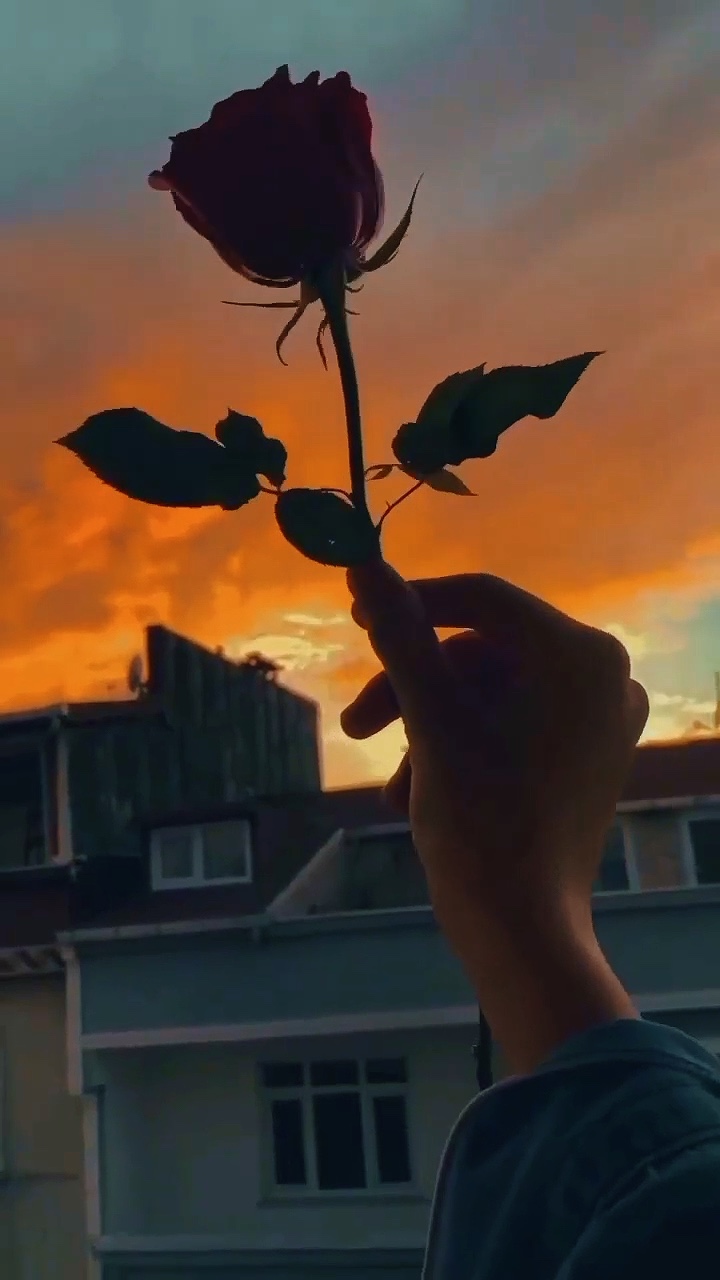 11 video or photo 