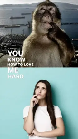 trend pose monyet