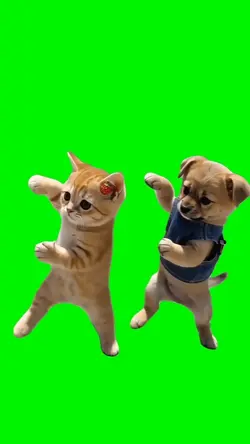 CWALK PETS