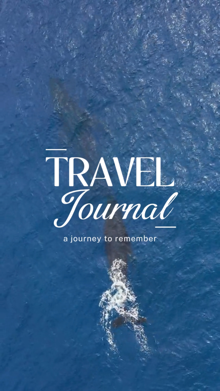 travel journal