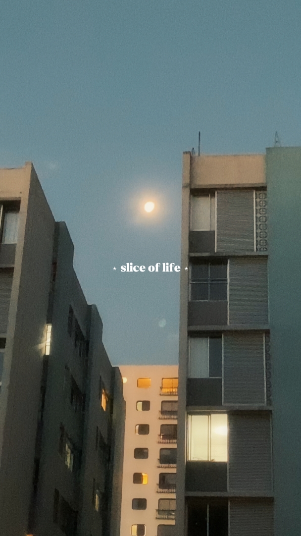 slice of life