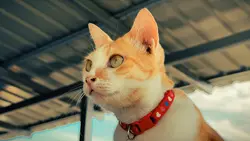 CINEMATIC COLORGRADE