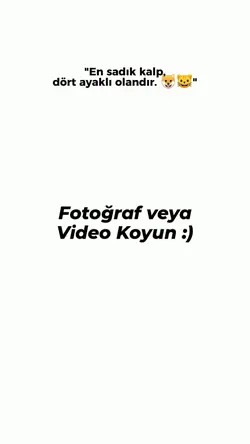 Evcil hayvan şablon