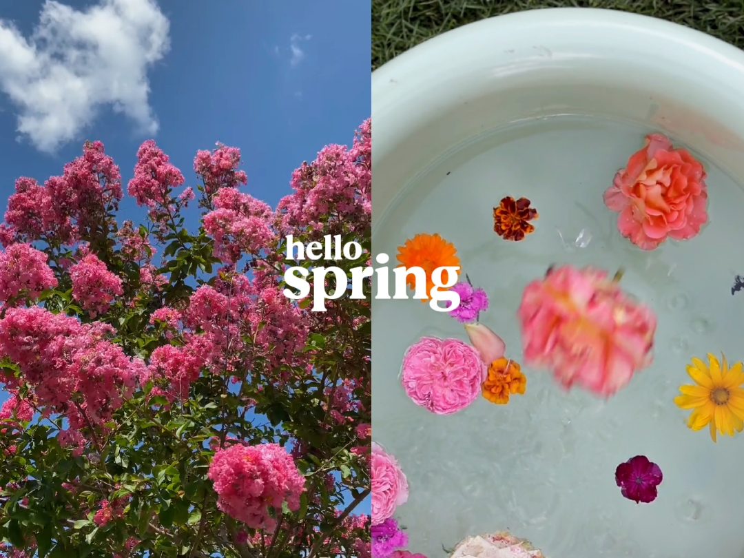 hallo frühling