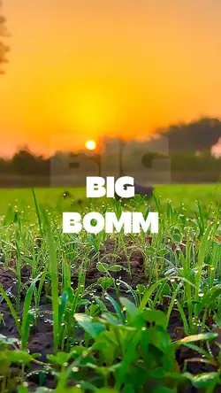 BIG BOM