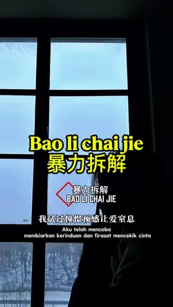 Bao li chai jie 暴力拆解