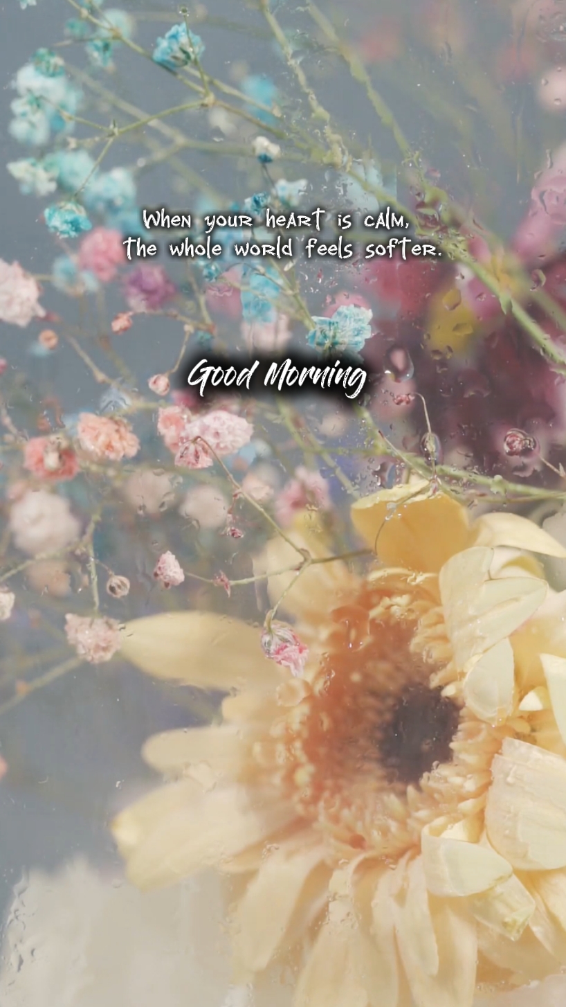 Guten Morgen 