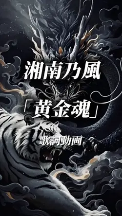 湘南乃風    黄金魂