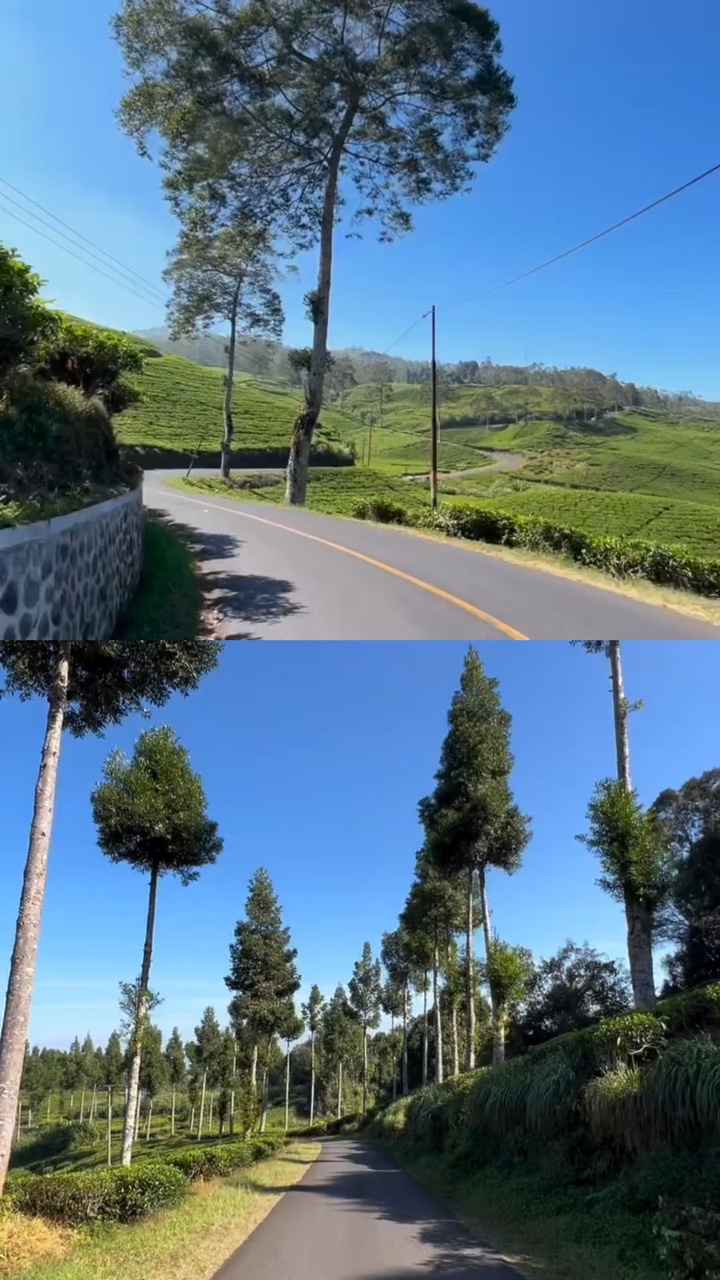 2 video 1 frame 