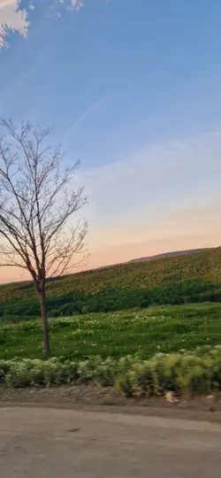 Ce poți să faci?