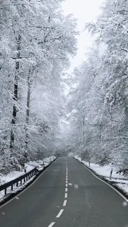 雪の日