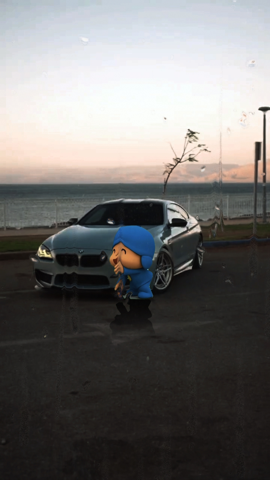 포코요 X BMW