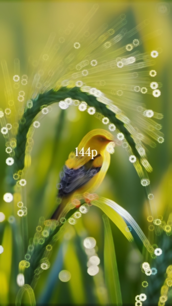 kalidad 144p hanggang 4k