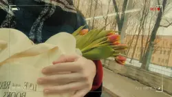 mini vlog 