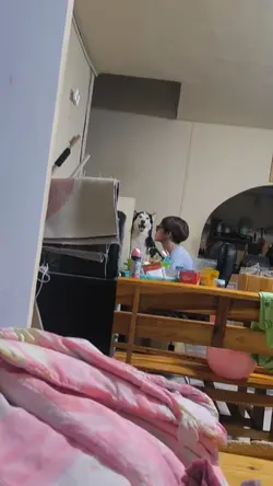 ไซบีเรียนเข้าห้องน้ำ