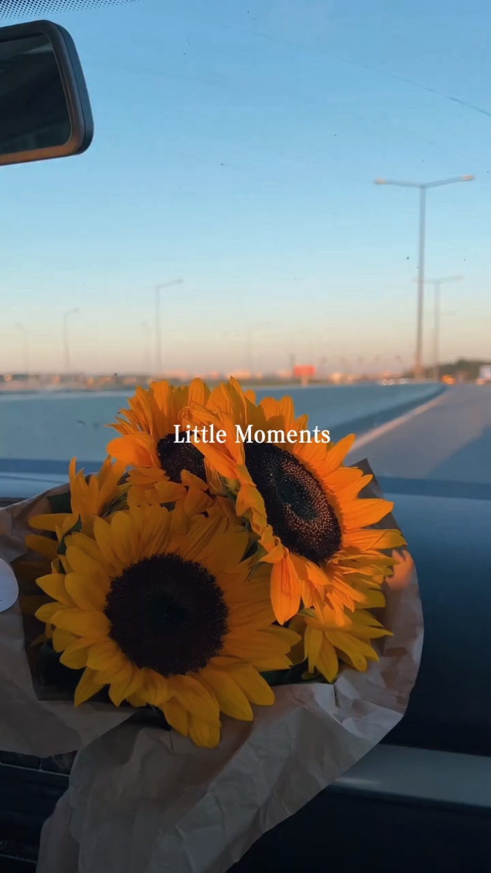 Pequeños Momentos 