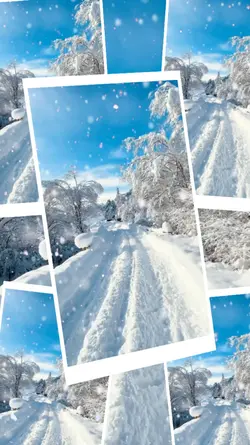 Snow trend