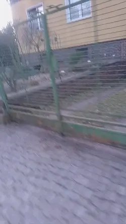 ich will sie läschel