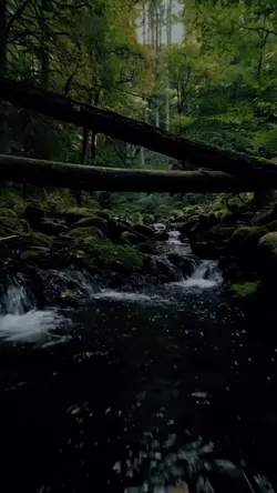 adventure 