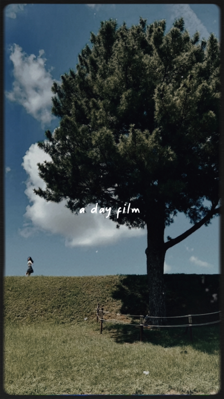 a day film 