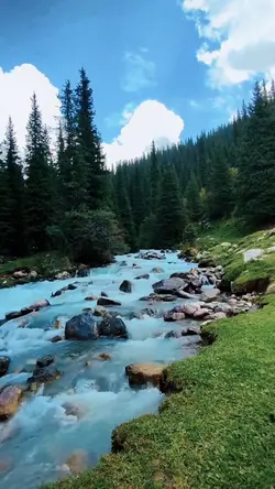 Slowmotion video ❤️‍🔥🌊