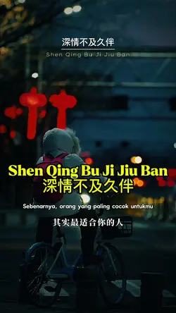 深情不及久伴