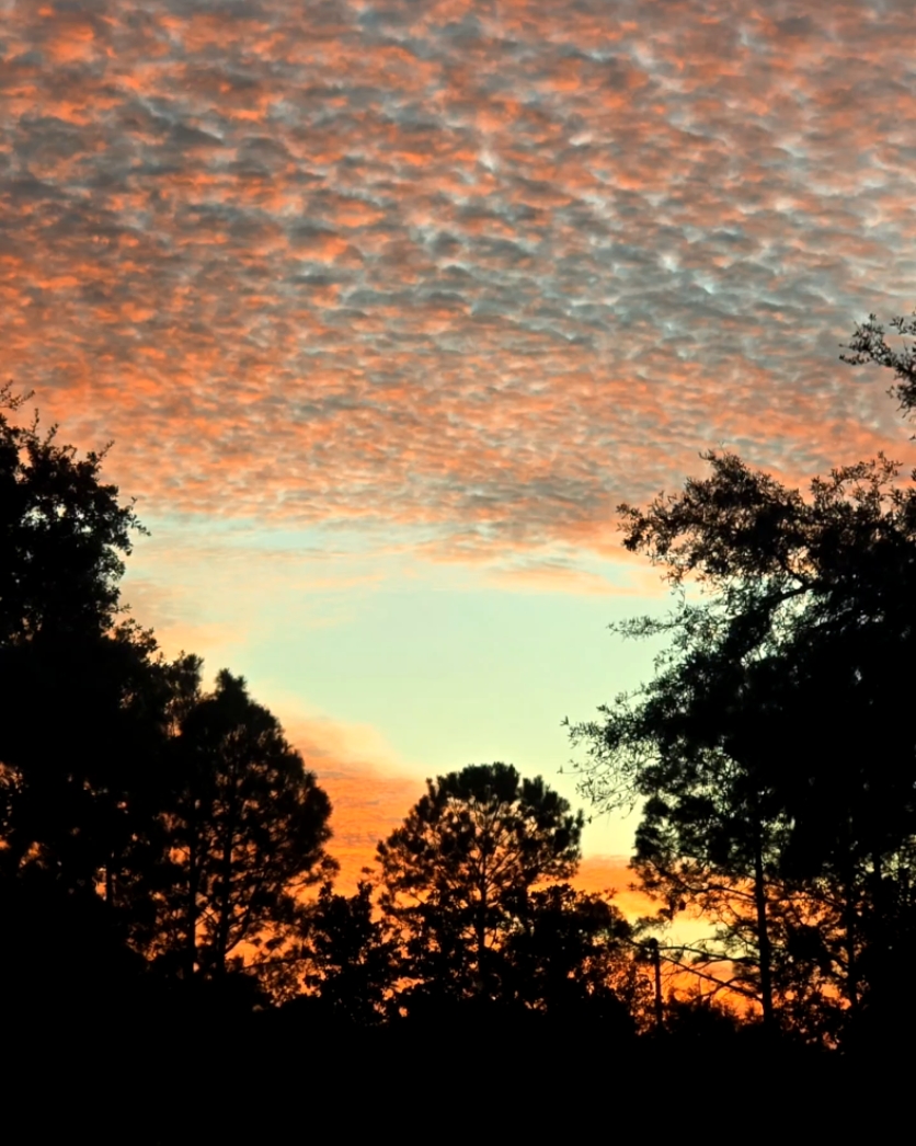 Amo ver el atardecer