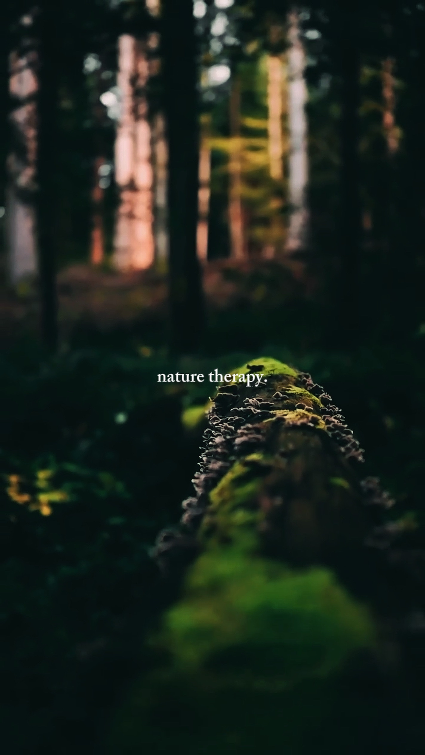 Terapia de la naturaleza