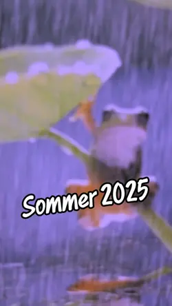 Sommer 2025
