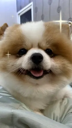 คำพูด ใช้ได้ทุกภาพ 1 ภาพ