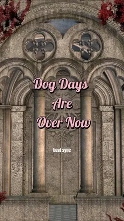 dog days are over no