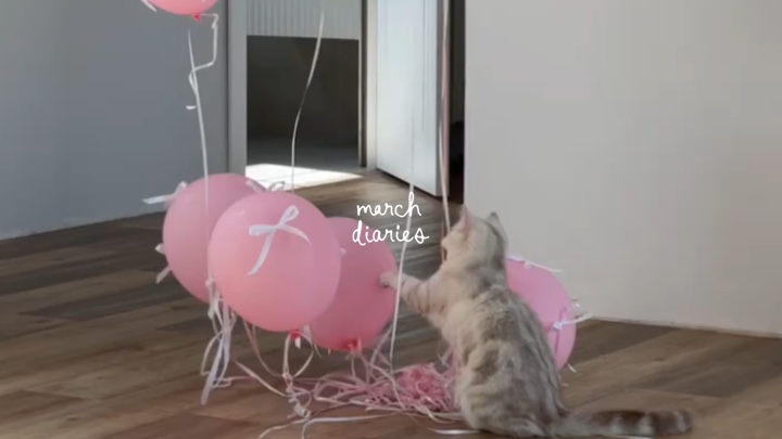 März-Tagebücher