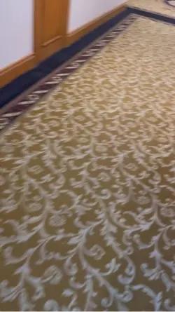 那一天我的世界有了色彩