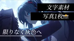 文字素材/写真1枚📸