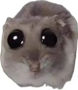 meow meow meowww