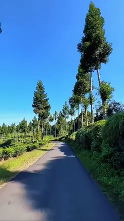 6 clips video road