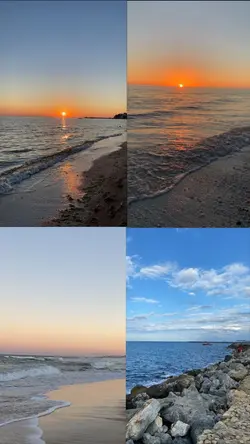 Yeni Şablon