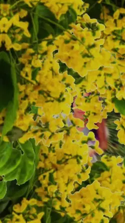 သင်္ကြန်သီချင်း