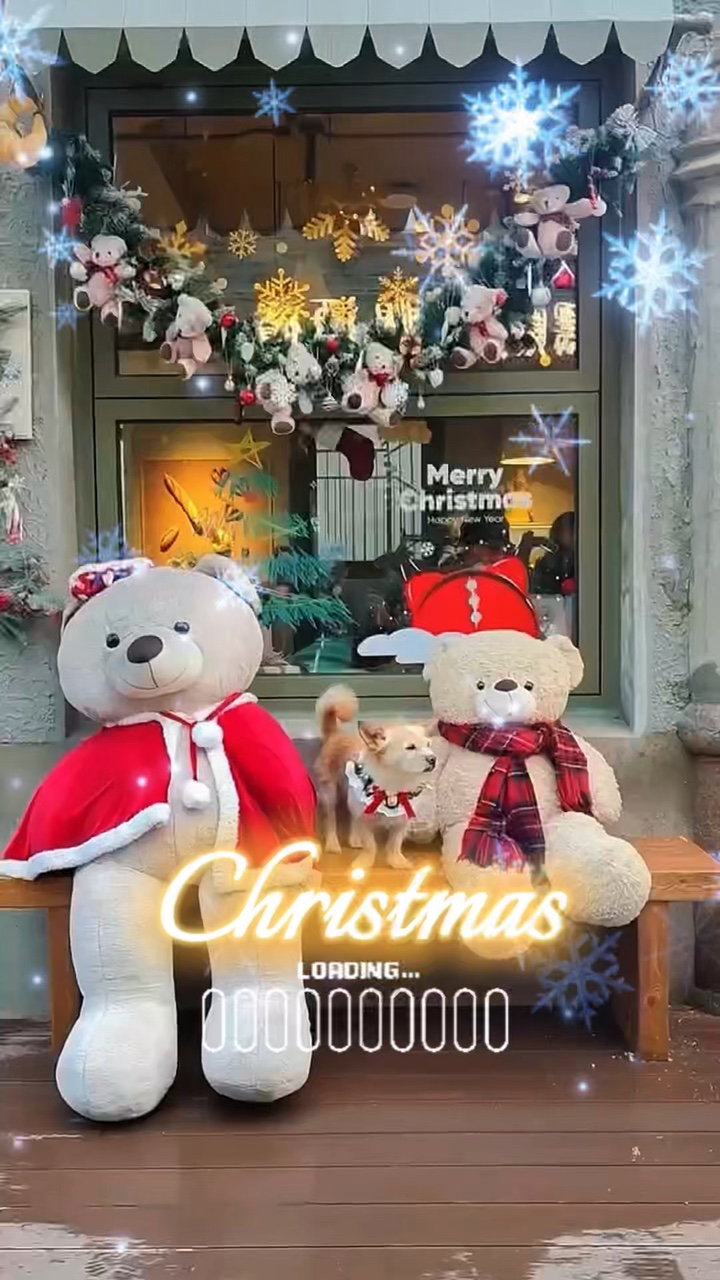 Animal de estimação de natal