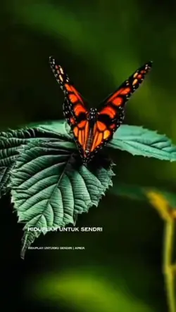 hiduplh utkmu sendri
