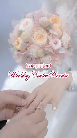 tsae project