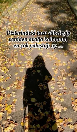 Ekim şablonu 