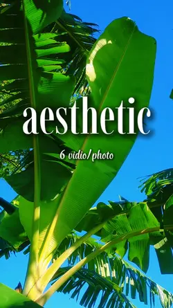 6 vidio aesthetic