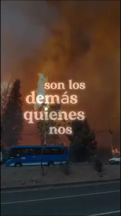 Farid dieck reflexio